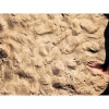 Bild från Högsjö Badet av @mats.schagerstrom - Sanden på stranden. Fötterna har längtat.#strand #beach #strandliv