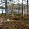 Bild från Nornäs Camping av @jennninni - #natur #nornäs #dalarna #sverige #sweden #vår #spring #vann #sjö #sjø #vatten