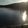 Bild från Gyllebosjön av @alsjoholm - #grillar vid #gyllebosjön såhär på #kvällen. #kvällssol som #lyser över #sjön...
