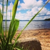 Bild av @m.floisbon - #beach #sandaholm