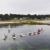 Bild från Gotlands Surfcenter av @gotlandssurfcenter - Tidig morgon. Supyoga med personalen. #sup #supyoga #gotland #gotlandstips #tofta #toftastrand #toftasödra #ebbaochklaras #hellogotland