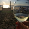 Bild av @udina - Äntligen ett glas vin på Ebbas&Klaras i härlig kvällssol! #tofta #gotlandssurfcenter #camping #gotland #sunset #solnedgång