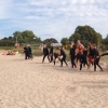 Bild från Gotlands Surfcenter av @gotlandssurfcenter - Flygande start med @creperielogi !!
#strandhäng #standuppaddle #gotlandssurfcenter #ebbaochklaras #gotland #toftasödra #toftastrand #
