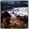 Bild från Lerhamn Beach av @bornsater - Inget bad idag