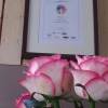Nu är sökningen efter Sveriges bästa pizza/pizzabagare igång. 
Ingen pizza online röstning , en proffsig kunnig jury grupp inom matkunskap ska utse 2013 års vinnare.  önskar alla tävlande kämpa hårt och lycka till.
