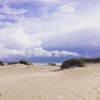 Bild från Haverdal Beach av @kina.e - Dax för bad