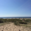 Bild från Haverdal, Stranden av @mkarhula - Njuter