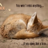 We´re proud to announce that Bar Foxx will be open in the middle of march. 

Don´t ask what we are, ask how we are...



