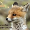 Tomorrow, 1st of March, we´ll begin to build our nest... So put on some gloves and come down and help us ;)