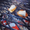 Bild från Sandskogens Camping av @simon_holm - #förrätt av #grillad #baguette med #camembert. #camping #wildlife #bbq #cykelsemester