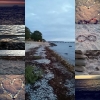Bild från Strandgärdet av @tufvalundback - ~undret är inte att flyga i luften eller att gå på vatten utan att vandra på jorden~