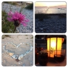 Bild från Norderstrands camping av @lindilo - #gotland #sommar #sommar #sol #sweden #sverige #visby #mtv15 #mtv #myspys #camping