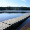 Hästskoformade bryggan med badstege