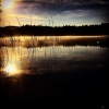 Bild av @petterikoste - Swedish lake midsummer 0430 Am. #nature #Love #sky #sun #summer #beach #beautiful #pretty #sunset #sunrise #blue #flowers #night #tree #twilight #clouds #beauty #light #cloudporn #photooftheday #love #green #skylovers #dusk #weathe