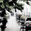 http://lifessilverliningandi.blogspot.com