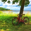 Bild från stranden @Hörvik av @bikewatch2000 - #hörvik #blekinge #mittsölvesborg #sölvesborg #hejcommersen #bike #bicycle #summertime #loves_sweden #strand #beach #baltic #österjön #loves_sweden #fotofanatics #landscape #seascape #scenic #ig_scandinavia #