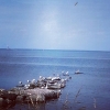 Bild från Hörviks Strand av @carinacai - En plats i solen! #fiskmåsar #hörvik #bästaläget med #havsutsikt