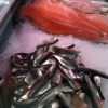Har du något härligt strömmings recept som du vill dela med oss fisk älskare? 
Finns mycket gott att göra av denna lilla goa fisk...någon som har recept på Gravad strömming tex. ? :) :)