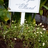 Foto: Scharlotte Peppare