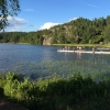Vattenväxterna är lätta att undvika om man går i vid bryggorna eller hopptornet. 