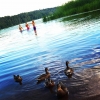 Bild från Sunnersta Camping av @annapersdotters - Sensommarbad är ofta de finaste, mest dyrbara. Sista chansen-bad, liksom. Eller så gör man som @ulrikabrohede och badar året om! Jag hakar absolut på utmaningen och badar varje månad året om. Du med? #bada