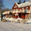 Hundsledturer ifrån restaurangen.