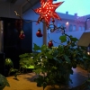 Adventspyntat lite.