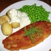 Dagens lunch 
Stekt fisk med örtsås och kokt potatis