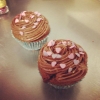 Halloj!                                    Idag har vi både morots cupcakes och                       Japp Cupcakes på menyn.                                 Vi har öppet till 17,30 idag.  Välkomna in!