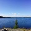 Bild från Tillholmen av @jockemoller00 - #Örviken #natur #skellefteälven #udde #gran #vatten #himmel #vackert #snartsommar