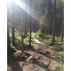 Bild från Kypesjön, Borås av @technodromen - Today is monday and club meeting for #BoråsKlätterKlubb. 
That means the closest thing to nature today is gonna be this pic from my little trek yesterday. 
Went exploring the area round Kypesjön in #Borås. 
It'