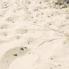 Bild från Kämpingestranden av @sporrstedt - Kämpinge strand. Vi njuter!