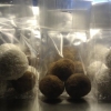 Testa våra goda tryfflar i olika smaker! Perfekta att ge bort eller varför inte unna sig själv.

Vi har även presentförpackningar fyllda med spännande deliprodukter som kaffe, te, marmelader, choklad, lakrits, kryddor, honung, senap, brända mandlar m.m.