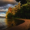 Bild från Lappis Beach av @vstefanova - Clouds, leaves, soil and wind all offer themselves as signals of changes in the weather. Too bad, not all the storms of life can be predicted.

#stockholm #visitstockholm #sea #evening #this_is_stockholm #stockholmg