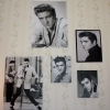 Elvis har jag alltid gillat.