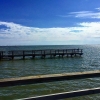 Bild av @haddock1974 - One mistake. No swim pants. #beach
