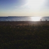 Bild från Borstahusen Strand av @molinmaria - Igår avnjöts kvällen med hämtmat på stranden med en nyhemkommen favorit