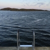 Bild av @tonycuth - Evening swim