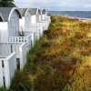 Bild från Ljunghusen Beach av @swedish_eliza - Classical, characteristic white beach huts in Ljunghusen, south west tip of Sweden. 