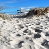 Bild från Ljunghusen Beach av @swedish_eliza - The lonely bench by the sea in Ljunghusen, south west tip of Sweden. 