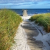 Bild från Storbryggan, Ljunghusen av @swedish_eliza - Come and join me on the beach in Ljunghusen, south west tip of Sweden. 