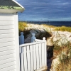 Bild från Ljunghusen Beach av @swedish_eliza - Classical, characteristic white beach hut in Ljunghusen, south west tip of Sweden. 