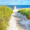 Bild från Ljunghusen Beach av @swedish_eliza - So, I am standing here. And I take a deep long breath and I am thinking I have to share this very moment with all of you. Wishing everyone a beautiful day. From Sweden with love. 