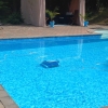 Bild från Ljunghusen Beach av @swedish_eliza - Better than any pool guy.... LOVE the new pool robot vacuum cleaner. It is so clever, it even climbs the walls. Not a single leaf shall be left! Time to sit back and enjoy another chilled pina colada. 