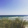Bild från Ljunghusen Beach av @annkron - En stund vid havet idag. #ljunghusen #strand #sensommar