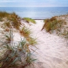 Bild från Ljunghusen Beach av @swedish_eliza - Good night dear IG-friends. From Ljunghusen Beach, south west tip of Sweden, with love. 