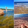 Bild från Snäcken, Långvind av @jannikeflinthammar - Haft en toppen dag på stranden med kusinerna 