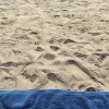 Bild från Lögastrand av @klinkgiss - Nu försöker vi igen. #lögastrand