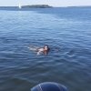Bild från Görväln av @massemina - Det känns lite annorlunda när det är Helena som tjatar om att vi ska ut och åka båt. Men jag är inte svårövertalad 
