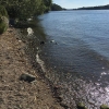 Bild från Görväln av @maggib71 - Vi hittade en egen liten strand☀️